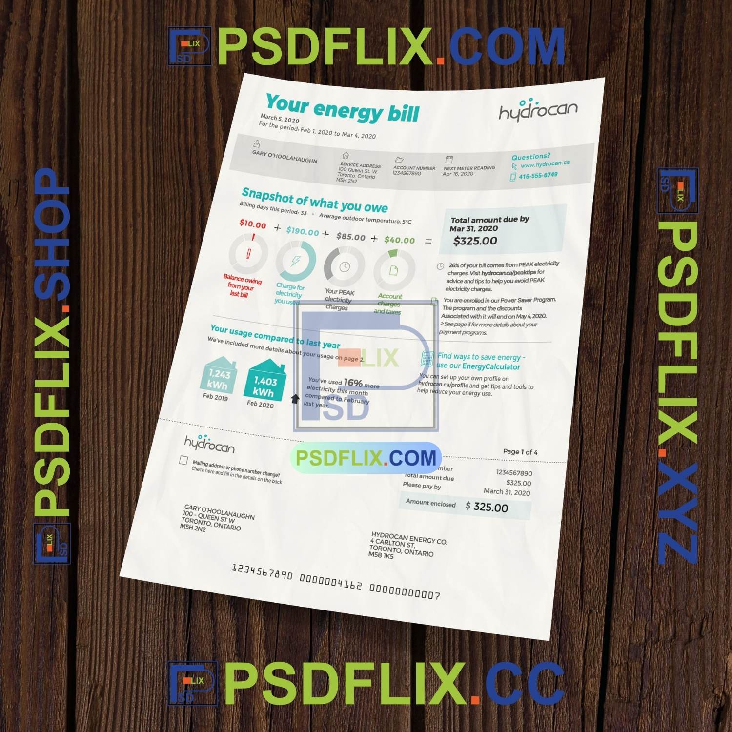 Canada Ontario Utility Bill PSD Template PSD HUT