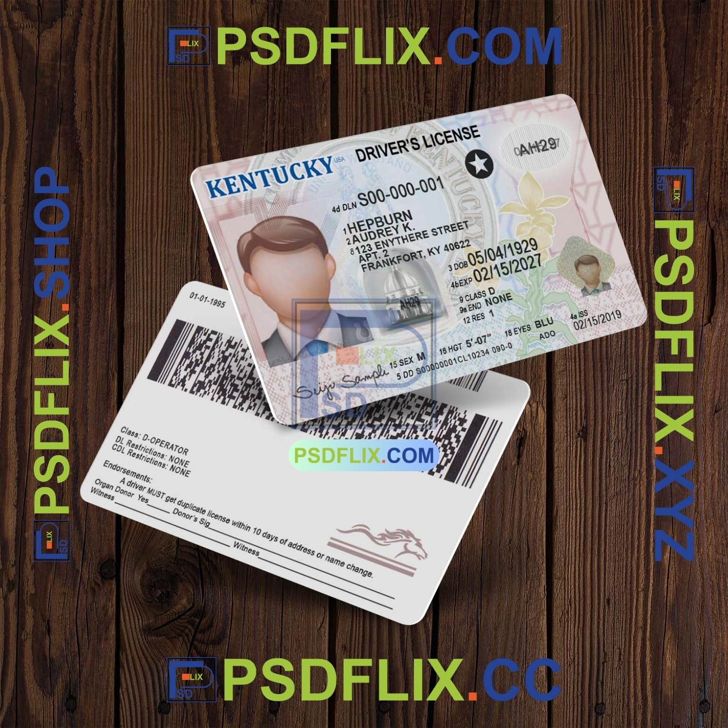 Kentucky Driver License PSD Template PSD HUT